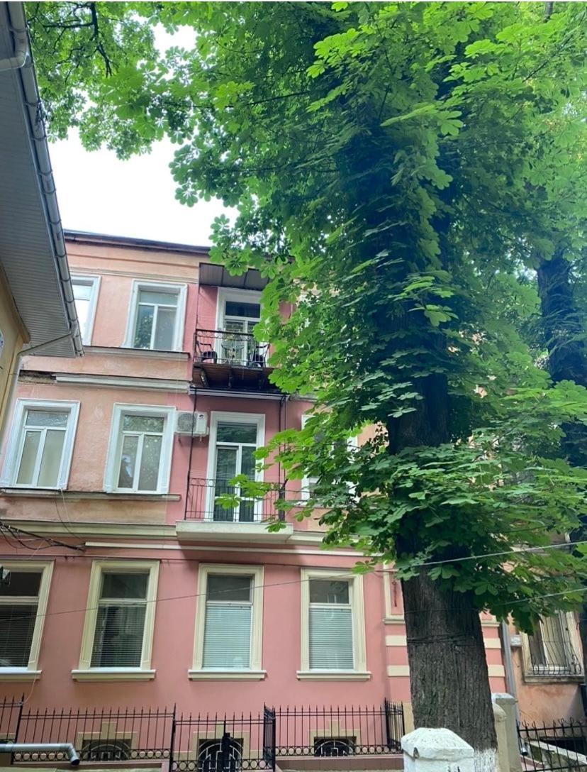 Elisavetinskaya 15 *
